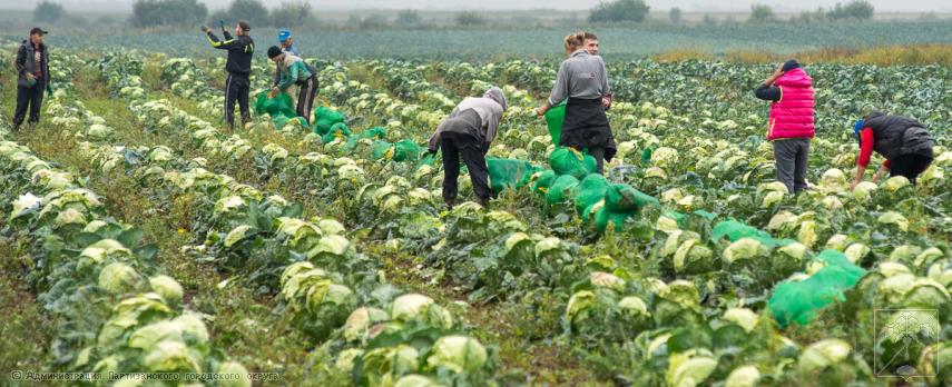 Вниманию жителей города Вниманию жителей города
