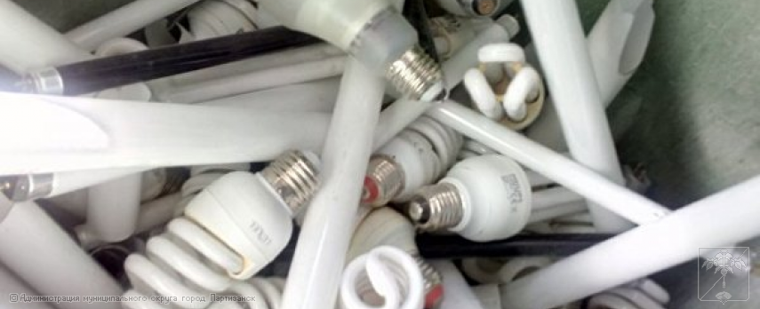 Пункты приема отработанных ртутьсодержащих ламп на территории муниципального округа город Партизанск Приморского края Пункты приема отработанных ртутьсодержащих ламп на территории муниципального округа город Партизанск Приморского края