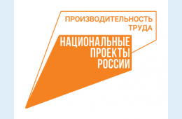 31.03.2025 Федеральный проект «Производительность труда» | Администрация муниципального округа город Партизанск Приморского края Официальный сайт