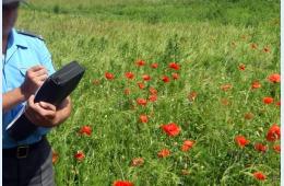 18.08.2021 В Партизанском городском округе стартовал III этап  | Администрация муниципального округа город Партизанск Приморского края Официальный сайт