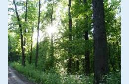 14.05.2021 Приморцы снова могут посещать леса, сообщает http://www.primorsky.ru  | Администрация муниципального округа город Партизанск Приморского края Официальный сайт