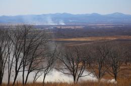 21.04.2022 Основной причиной весенних пожаров в Приморье называют человеческий фактор, сообщает www.primorsky.ru | Администрация муниципального округа город Партизанск Приморского края Официальный сайт