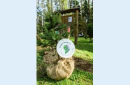 01.04.2021 1000 пихт высадят приморцы в память о павших в Великой Отечественной войне, сообщает primorsky.ru | Администрация муниципального округа город Партизанск Приморского края Официальный сайт