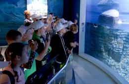 11.03.2025 В Приморский океанариум теперь могут приезжать школьники по «Арсеньевской карте» | Администрация муниципального округа город Партизанск Приморского края Официальный сайт