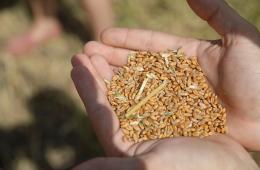 12.12.2024 Участникам СВО из Приморья помогут стать фермерами. МЕРЫ ПОДДЕРЖКИ | Администрация муниципального округа город Партизанск Приморского края Официальный сайт