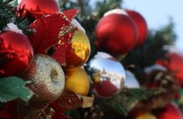 10.12.2024 Новогодние мечты детей Тореза могут осуществить приморцы на «Елке желаний» | Администрация муниципального округа город Партизанск Приморского края Официальный сайт