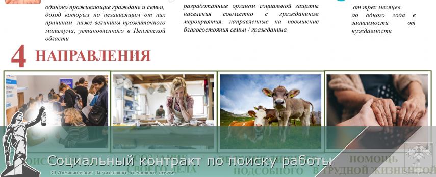 Социальный контракт по поиску работы | Администрация муниципального округа город Партизанск Приморского края Официальный сайт