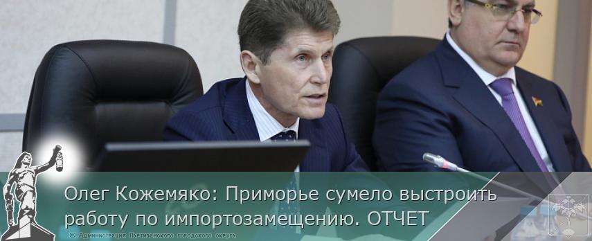 Олег Кожемяко: Приморье сумело выстроить работу по импортозамещению. ОТЧЕТ | Администрация муниципального округа город Партизанск Приморского края Официальный сайт