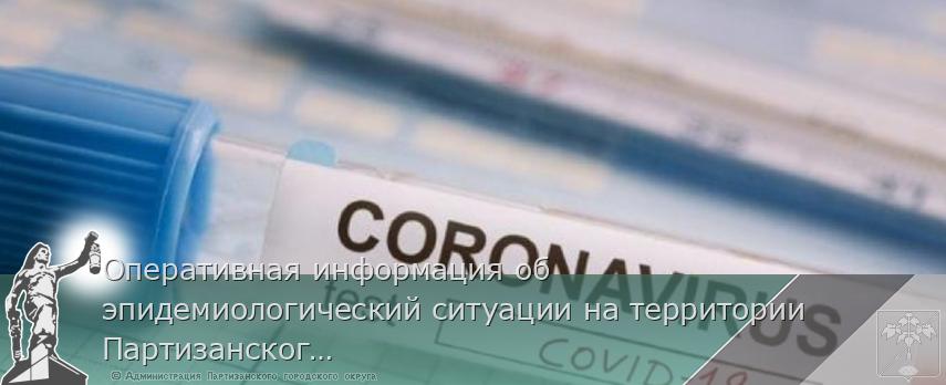Оперативная информация об эпидемиологический ситуации на территории Партизанского городского округа на 05 февраля 2021 года | Администрация муниципального округа город Партизанск Приморского края Официальный сайт