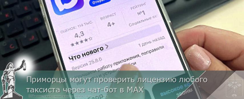 Приморцы могут проверить лицензию любого таксиста через чат-бот в МАХ | Администрация муниципального округа город Партизанск Приморского края Официальный сайт