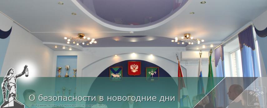 О безопасности в новогодние дни | Администрация муниципального округа город Партизанск Приморского края Официальный сайт