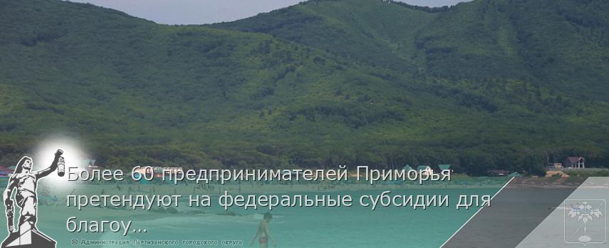 Более 60 предпринимателей Приморья претендуют на федеральные субсидии для благоустройства пляжей и создания кемпингов, сообщает www.primorsky.ru | Администрация муниципального округа город Партизанск Приморского края Официальный сайт