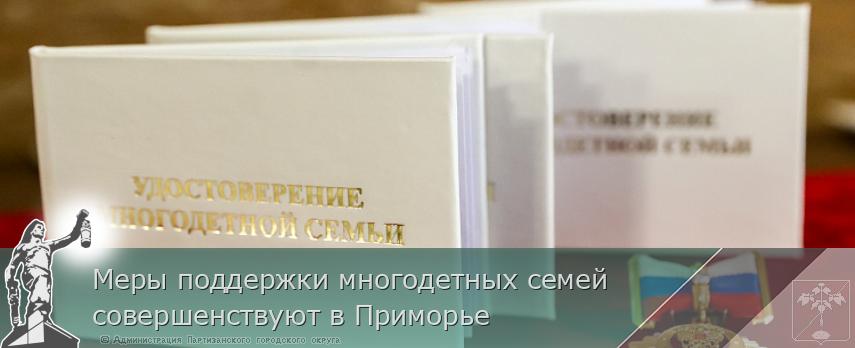 Меры поддержки многодетных семей совершенствуют в Приморье | Администрация муниципального округа город Партизанск Приморского края Официальный сайт