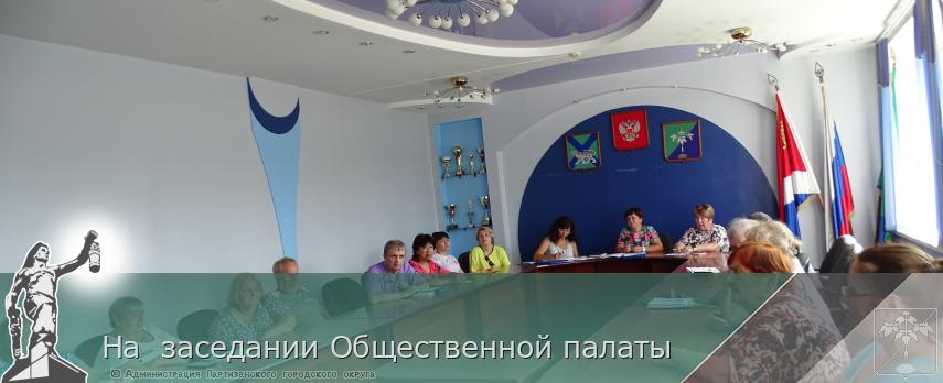 На  заседании Общественной палаты | Администрация муниципального округа город Партизанск Приморского края Официальный сайт