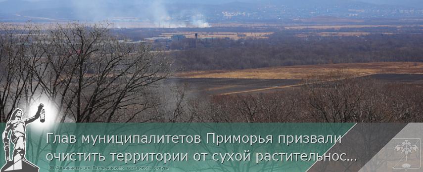 Глав муниципалитетов Приморья призвали очистить территории от сухой растительности | Администрация муниципального округа город Партизанск Приморского края Официальный сайт