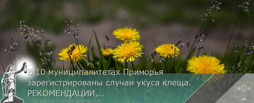 В 10 муниципалитетах Приморья зарегистрированы случаи укуса клеща. РЕКОМЕНДАЦИИ, сообщает www.primorsky.ru | Администрация муниципального округа город Партизанск Приморского края Официальный сайт