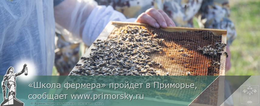 «Школа фермера» пройдет в Приморье, сообщает www.primorsky.ru | Администрация муниципального округа город Партизанск Приморского края Официальный сайт