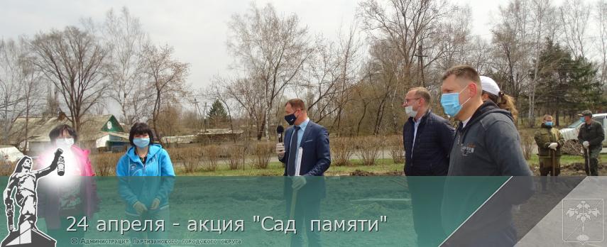24 апреля - акция &quot;Сад  памяти&quot; | Администрация муниципального округа город Партизанск Приморского края Официальный сайт