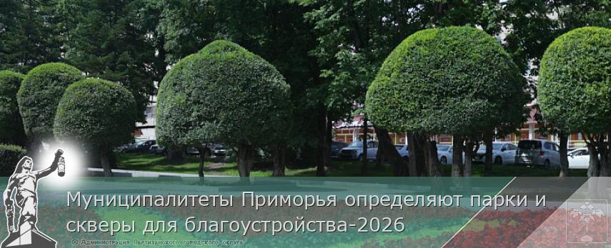 Муниципалитеты Приморья определяют парки и скверы для благоустройства-2026 | Администрация муниципального округа город Партизанск Приморского края Официальный сайт