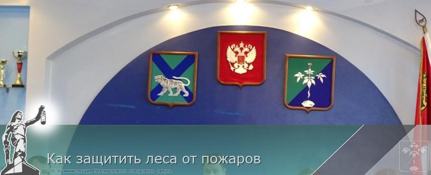 Как защитить леса от пожаров | Администрация муниципального округа город Партизанск Приморского края Официальный сайт