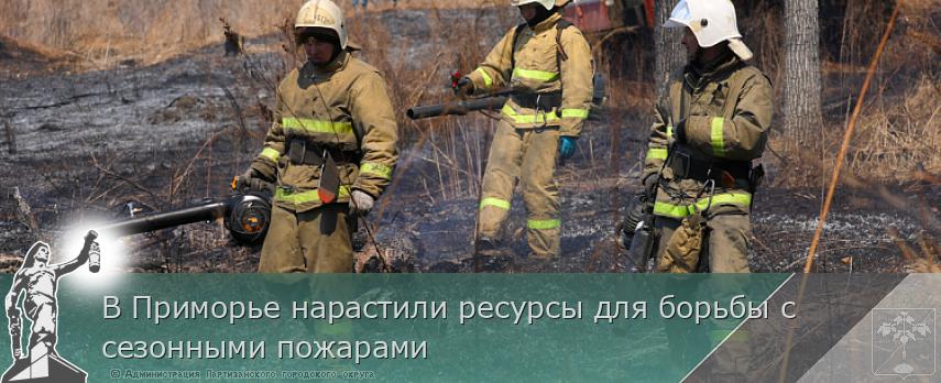 В Приморье нарастили ресурсы для борьбы с сезонными пожарами | Администрация муниципального округа город Партизанск Приморского края Официальный сайт