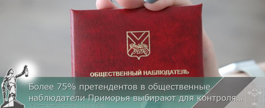Более 75% претендентов в общественные наблюдатели Приморья выбирают для контроля объекты благоустройства | Администрация муниципального округа город Партизанск Приморского края Официальный сайт