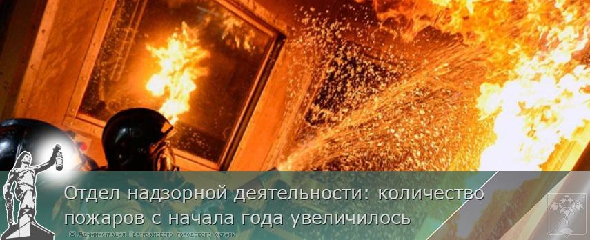 Отдел надзорной деятельности: количество пожаров с начала года увеличилось | Администрация муниципального округа город Партизанск Приморского края Официальный сайт